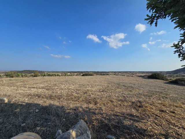 YEDİKONUK TA SATILIK 25000 M2 SATILIK ARAZI