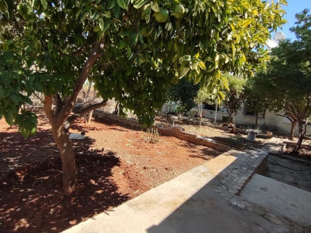 Gönyeli Merkezde Mükemmel Bir Bahçe İçerisinde (3+1) 150 M2 Geniş ve Ferah Zemin Kat Daire + Üzerinde 150 M2 Aynı Plan (3+1) İskeleti ve Tuğlası Yapılmış 2. Daire Fırsatı - Fotoğraf 2