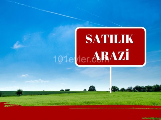 LEFKE'NİN EN GÜZEL BÖLGELERİİNDEN DOĞANCIDA TÜRK KOÇANLI MÜKEMMEL SULU ARAZİ UYGUN FİYATA SATILIKTIR