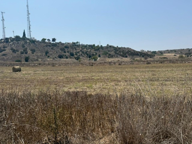 İSKELE BOĞAZ KEMALİN YERİ RESTAURANTA 800 METRE MESAFEDE SATILIK ARSA