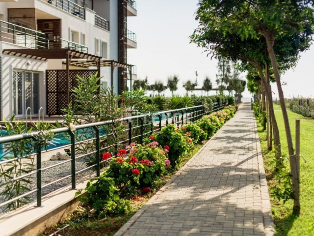 Kıbrıs`ta Özel Plajı Bulunan Lüks Sitede Satılık Daireler - Fotoğraf 3