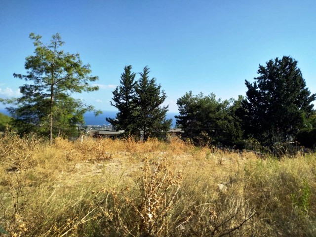 ARANAN ARSA Burada! Girne Karmi'de harika deniz mazaralı arsalar (3komşu parsel) - Fotoğraf 1
