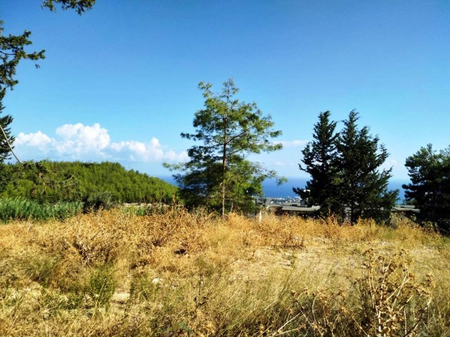 ARANAN ARSA Burada! Girne Karmi'de harika deniz mazaralı arsalar (3komşu parsel) - Fotoğraf 3