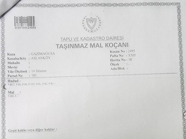 Aslanköyde 52 Dönüm Satılık Tarla - Fotoğraf 4