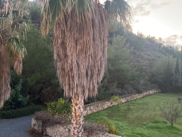Karmi'de Satılık Arazi - Fotoğraf 1