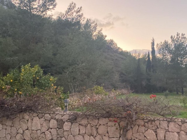 Karmi'de Satılık Arazi - Fotoğraf 2