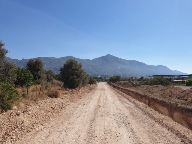 Ozanköy'de Satılık Arazi - Fotoğraf 1