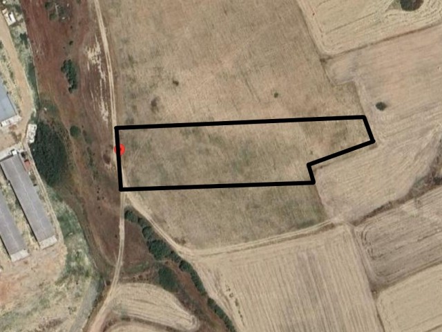 Lefkoşa/minareliköy Bölgesinde Satılık İmar İzinli Arazi - Fotoğraf 1