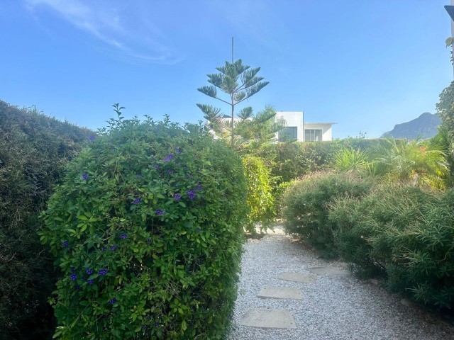 Girne Edremit'te Fırsat Fiyata Satılık 4+1 Lüx Villa - Fotoğraf 1