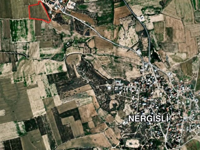 Gazimağusa Nergisli Satılık 11 Dönüm 2668 Ayakkare Arazi - Fotoğraf 4