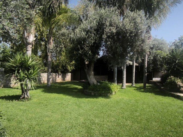 2 dönüm arazi üzerinde özel 5 yatak odalı villa - Fotoğraf 1