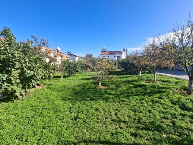 Catalkoyde Limon ve meyve agaclari icerisinde Deniz tarafinda Arsa - Fotoğraf 2