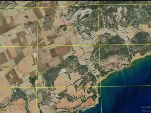 🏡 Dipkarpaz, İskele’de Satılık Yatırımlık Arsa – Doğanın Kalbinde Benzersiz Bir Fırsat!