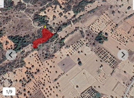 3.772 m² Türk Mülkiyetli Arsa - Yedikonuk (2 Bitişik Parsel)