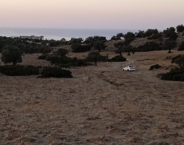 ARAZİYE YATRIM FIRSATI, BOLGEDE EMSAL ARAZILER 2 KAT FIYATINA PAZARLANMAKTA...PRIM YAPACAK BÖLGE