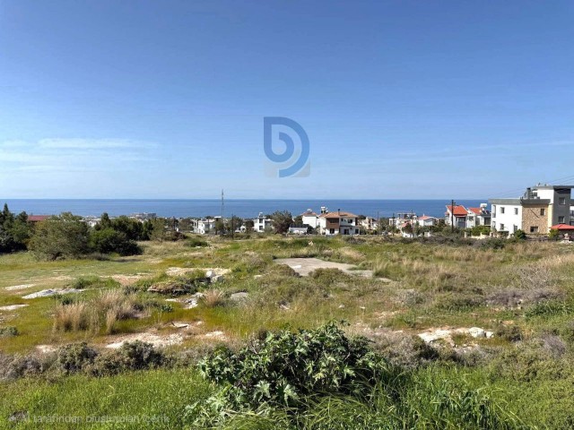 Çatalköy'ün En Güzel Lokasyonu- 1087 m² Arsa - Fotoğraf 1