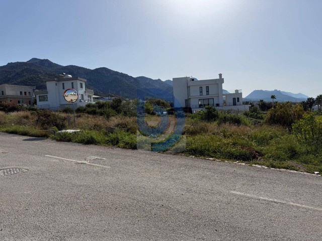 Çatalköy'ün En Güzel Lokasyonu- 1087 m² Arsa - Fotoğraf 4
