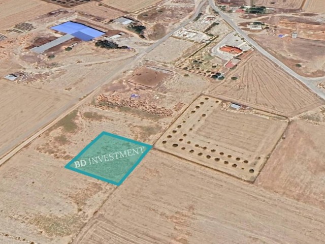 Kıbrıs Lefkoşa Dilekkaya'da 1338 m² Türk Koçan 1 Parsel Arsa - Fotoğraf 1