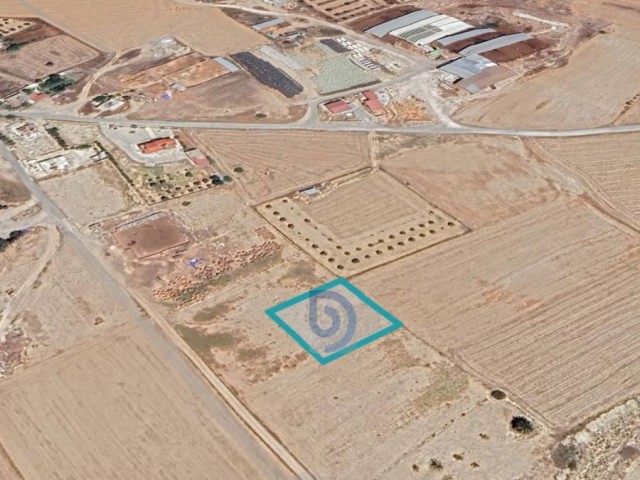 Kıbrıs Lefkoşa Dilekkaya'da 1338 m² Türk Koçan 1 Parsel Arsa - Fotoğraf 2