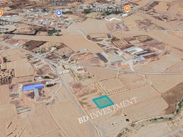 Kıbrıs Lefkoşa Dilekkaya'da 1338 m² Türk Koçan 1 Parsel Arsa - Fotoğraf 3
