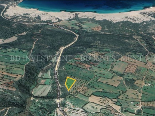 Dipkarpaz'da Yatırım Fırsatı 8363 m² Arsa