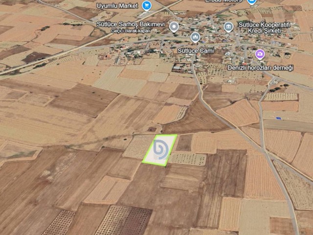 Kıbrıs Mağusa Sütlüce Merkezine 500 Metre Mesafede 6502 m² Tarla