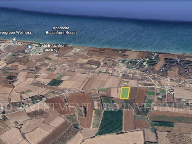 Gaziveren Sahile 700 Metre Mesafede 6 Dönüm Fırsat Arsa