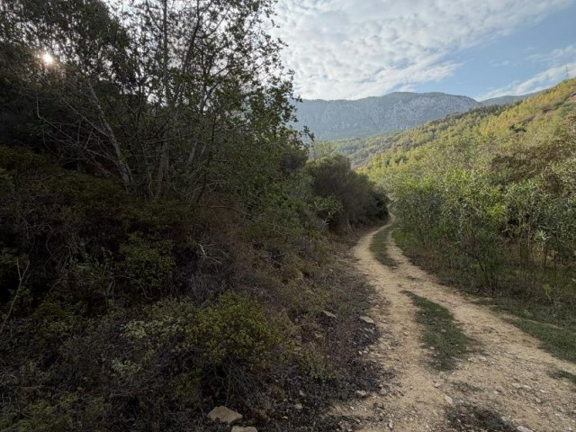 Girne Bellapayis te satılık  türk koçan arazi, daire takası olur.