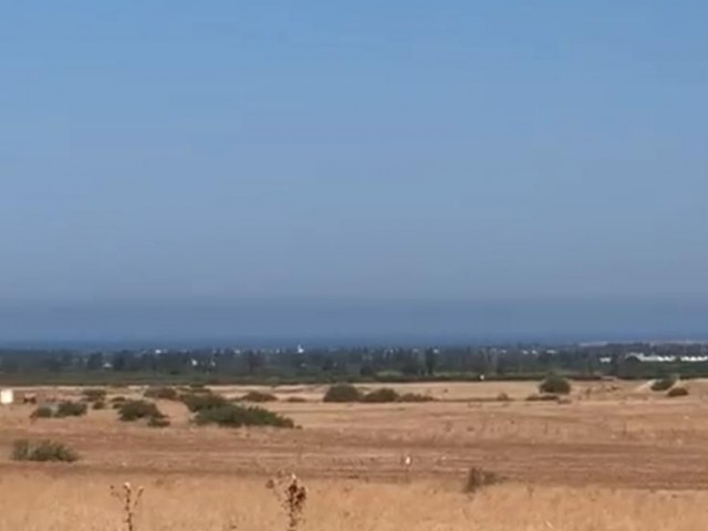 Güzelyurt Yukarı Bostancı da 32 dönün satılık arazi.