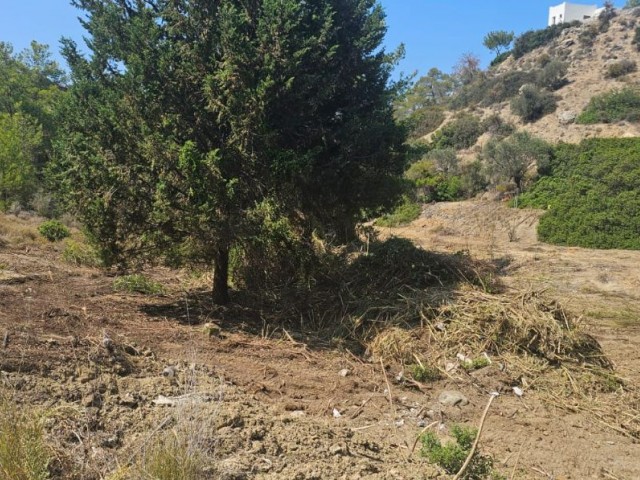 Girne Esentepe de satılık FIRSAT arazi. - Fotoğraf 4