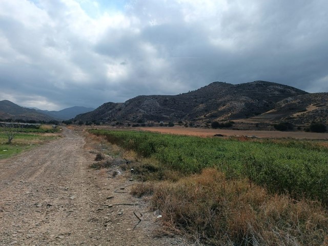 Girne Lapta da 1515 m2 satılık arsa.