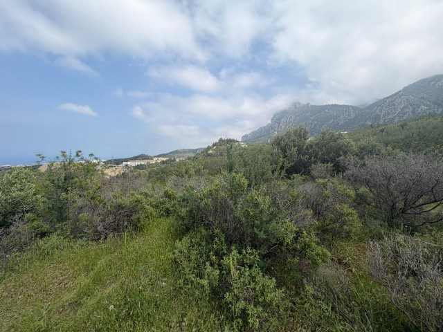Girne Ederemit te 750 m2 satılık arsa.