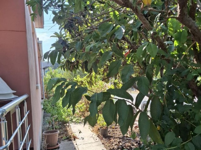 Lefke Yeşilyurt bölgesinde 3+1 eşyalı 140m2 müstakil bahçeli ev