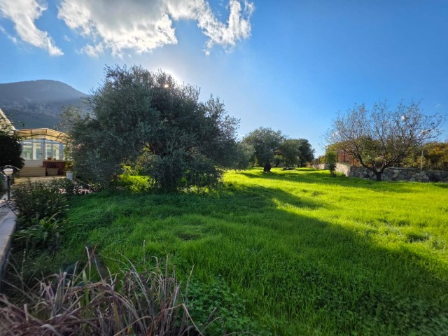 Havuzlu Vılla 2.5 D Arsa İçerisinde - Fotoğraf 4