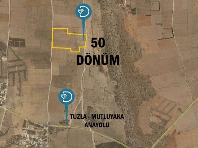 Mutluyaka, Tuzla'da Satılık 50 Dönüm Arazi - Fotoğraf 2