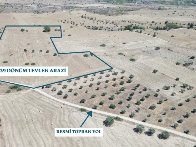 Geçitkale-Çınarlı köyü arasında satılık 39 dönüm 1 evlek arazi, dönüm fiyatı 5.000 stg