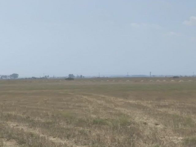 ✈️ Ercan Havalimanı’na Yakın, 35 Dönüm Türk Koçanlı Yatırım Fırsatı!
