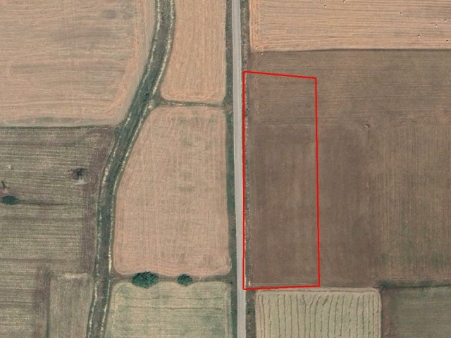 İskele Kalecik Satılık Tarla - Fotoğraf 3