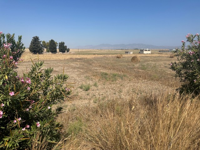 Dörtyol-Eegeçitkale Arası Anayol Üzeri Satılık Arazi - Fotoğraf 3