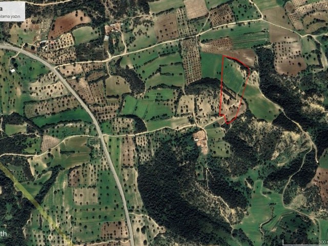 Yatırımlık Tarla - Fotoğraf 4