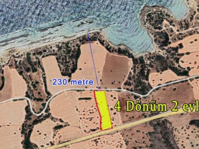Kaplıca 4.5 Dönüm Denize 230 m Satılık Arsa