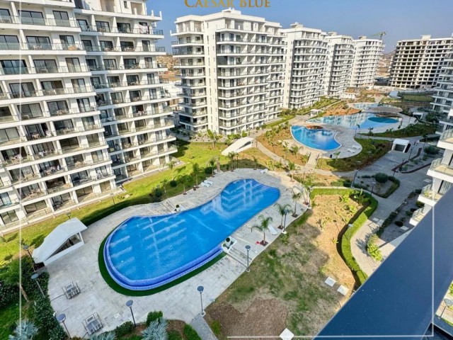✨ Premium 2+1 | Iona Blok 8. Kat | Ultra Deniz Manzarası | Eşyalı & Tüm Vergiler Ödenmiş | 6 Ay Taksitli İmkanı | 130.000 £ | KIZILÖRS INVESTMENT - Fotoğraf 3