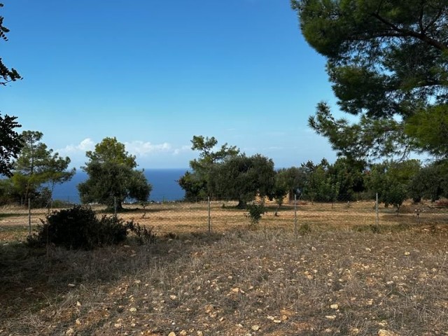 Girne/Karaağaç'da satılık 6 dönüm 1 evlek arazi
