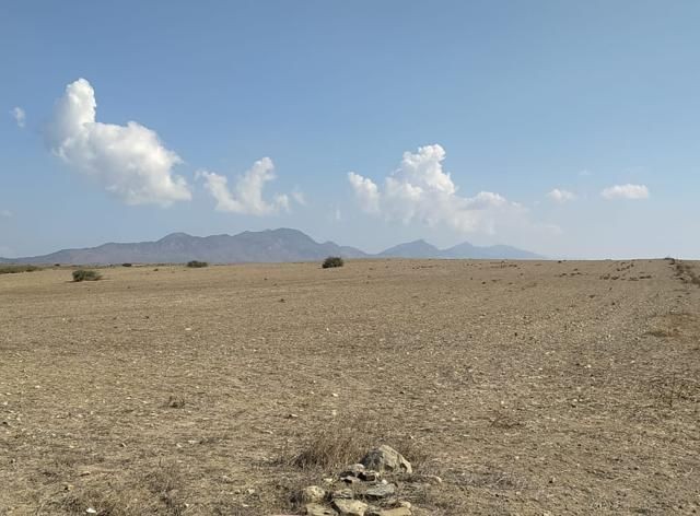 Girne/Dağyolu (fota)'da satılık tarımsal arazi