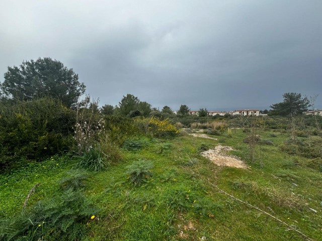Girne/Çatalköy'de satılık muhteşem lokasyon satılık 6 dönüm arazi