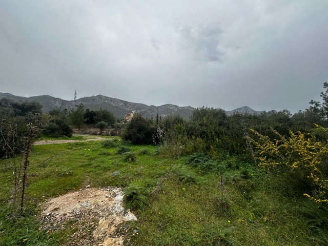 Girne/Çatalköy'de satılık muhteşem lokasyon satılık 6 dönüm arazi