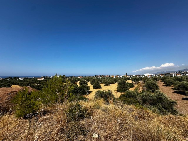 Girne/Ozanköy'de satılık 10 dönüm 2 evlek arazi