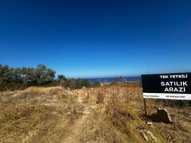 Alsancancakta satilik 1403m2 arsa