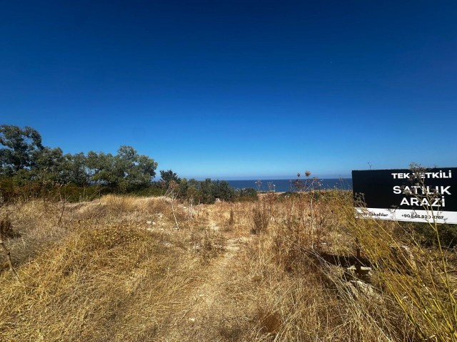 Alsancancakta satilik 1403m2 arsa