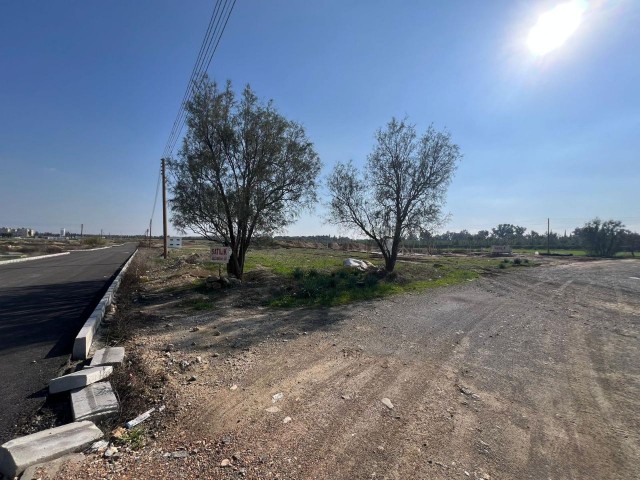 Lefkoşa metehan bölgesi 637m2 satılık arsa